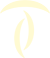 Technicum
